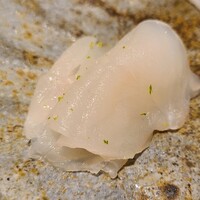 馳走 啐啄一十  - ⑤虎魚(広島県豊島産、2日寝かせ)
                    体脂肪は5%位ですがグルタミン酸がたっぷり
                    2日程度の寝かせですが更にアミノ酸が増え、上品かつジワッと膨らむ旨み&甘みが良い
                    平野大将の真骨頂とも言える絶妙な寝かせ
