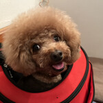 ＭＯＭＩＮＯＫＩ ＨＯＵＳＥ - ご機嫌？ｗ