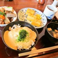 浅草むぎとろ 本店 - 