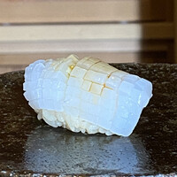 すし処 睦月 - 剣先イカ
