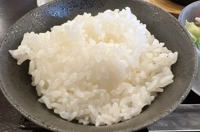 こげん - 黒崎/居酒屋 | 食べログ