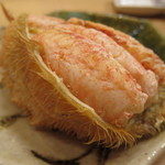 すし屋 真魚 - 毛蟹