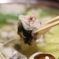 個室ふぐかに料理 磯笛 - 