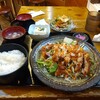 Izakaya Gyouza Sakaba - 鶏肉一枚揚げ定食