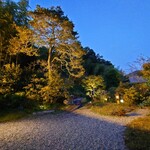 洋食 つばき - 手入れされたお庭。あと一ヶ月もすれば随分雰囲気も違ってくるのでしょう。