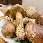 蕎麦割烹  倉田 - 立派な信州産松