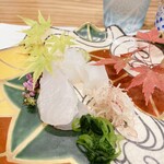 蕎麦割烹  倉田 - 青森県産 鮃、障泥烏賊