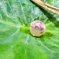 草片 - 