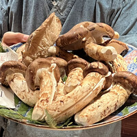 たでの葉 - 京丹波の松茸。傘の開いていないものは二つ割りして墨の蒸し焼きに。開いているものは細かく刻んで松茸ご飯の具材にします