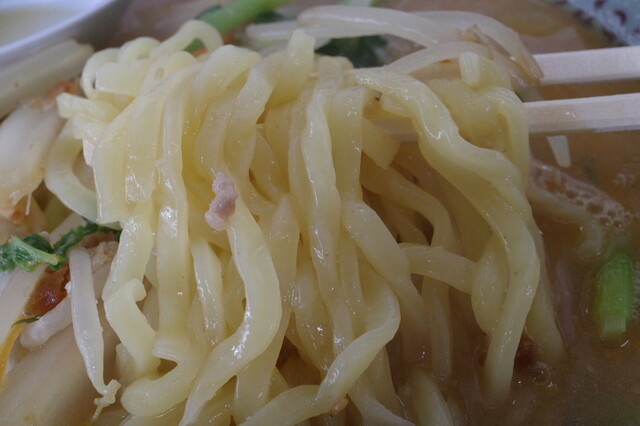 かしわや食堂 - 郡山市その他（ラーメン）の写真