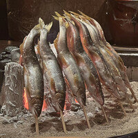 たでの葉 - 立派に成長した鮎
