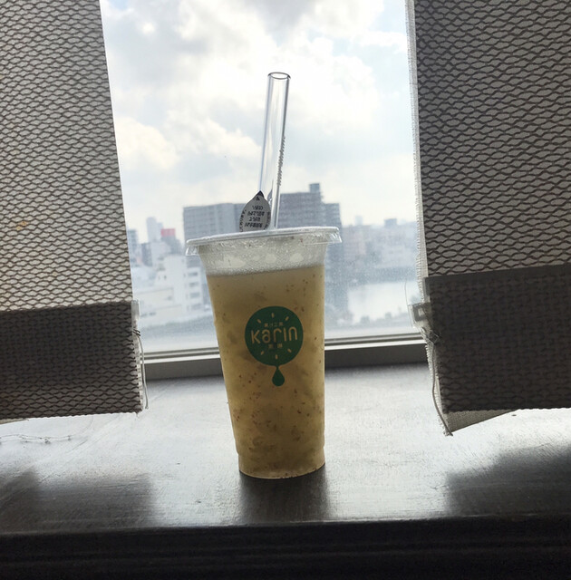 Karin Ionmoru Oosaka Domushititen photo 3