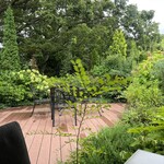 Italian Ryori Lucchicore