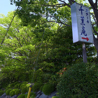 千薫庵 - 