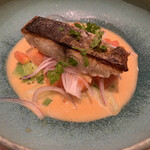 レフ アオキ - メインの魚は鰆のポワレ・ソースディグレレ