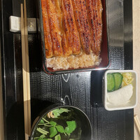 うなぎ 目白ぞろ芽 - 