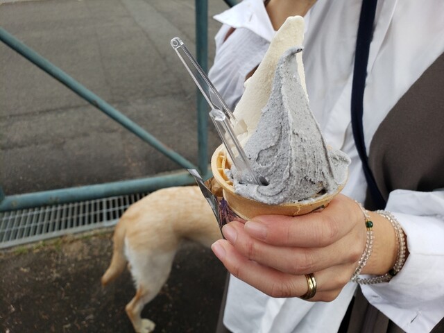 モンジュー セントヒルズ店 - 福島市その他（ジェラート・アイスクリーム）の写真