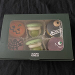 ザシュガーフォレスト - 