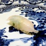 すし屋　小桜 - アオリイカ