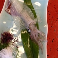 河太郎 中洲本店 - 