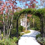 フェ・デ・ネージュ - 