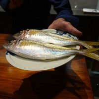 馳走西健一 - 桜エビを食べて育った鯵