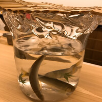 日本料理 久丹 - 