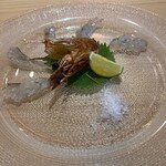 Sushi Toku - 