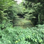 滝口わさび園 - 