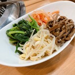 お肉屋さんの焼肉 まるやす - ナムル盛り合わせ