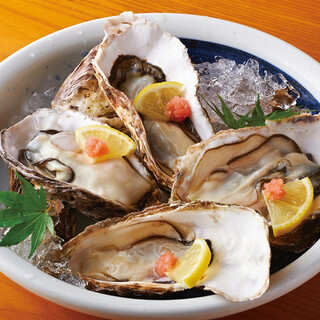 [You can enjoy raw Oyster and grilled Oyster depending on the season! 】《Excellent freshness》