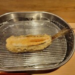 てんぷら 深町 - 女鯒