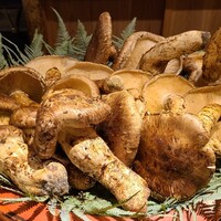 富小路 やま岸 - 松茸(和歌山県高野山産、朝獲れ)
                    とても大きく薫り高く上質な松茸
                    味わいも素晴らしかったです♪