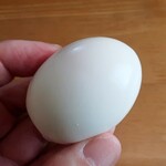 弁当・軽食 花 - ゆで玉子～