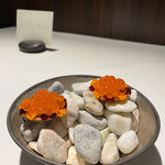 ラ・ヴァガボンド - 