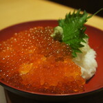 Sumiyaki Tokoro Kitaguni - いくら丼