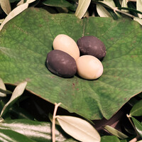 Installation Table ENSO L'asymetrie du calme - 