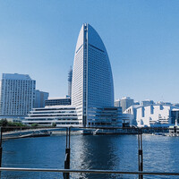 Pecorino Market&Restaurant - 