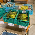 八紘学園 農産物直売所 - 【2022年09月】とうもろこし、そろそろラストみたいです。