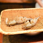 鮨 尚充 - しゃこ