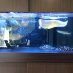 AQUA DINING CAFE 瓢黎 - 目を引く水槽にはアロワナと淡水エイ