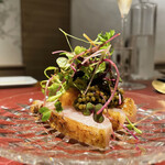 イル アオヤマ - 