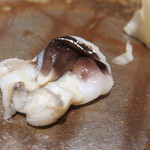 鮨 橋口 - とり貝