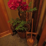 恵比寿　くろいわ - 引き戸を開けると横にぼたんの花が。