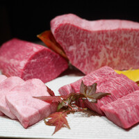 USHIGORO S. GINZA - 本日のお肉たち