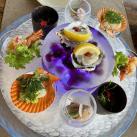 スミレオオサカ -  スミレオオサカ -