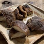 サケとスミビとロシュタン - 