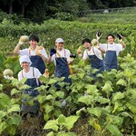 やさいの王様 - 