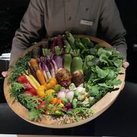 レフェルヴェソンス - 