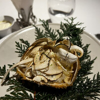 レフェルヴェソンス - 